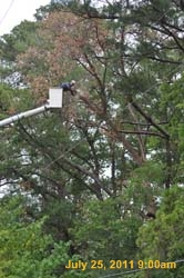 Entergy 025
